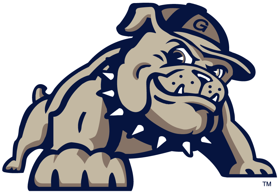 Georgetown Hoyas 0-Pres Alternate Logo diy iron on heat transfer